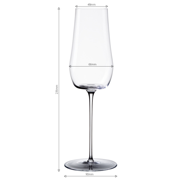 Flûtes à champagne 220 ml lot de 2 – Green Wave Platinum Line Lunasol II
