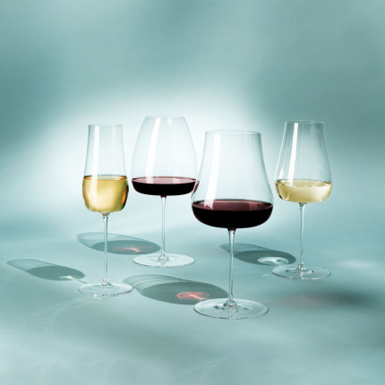 Verres à vin blanc 400 ml lot de 2 – Green Wave Platinum Line Lunasol II