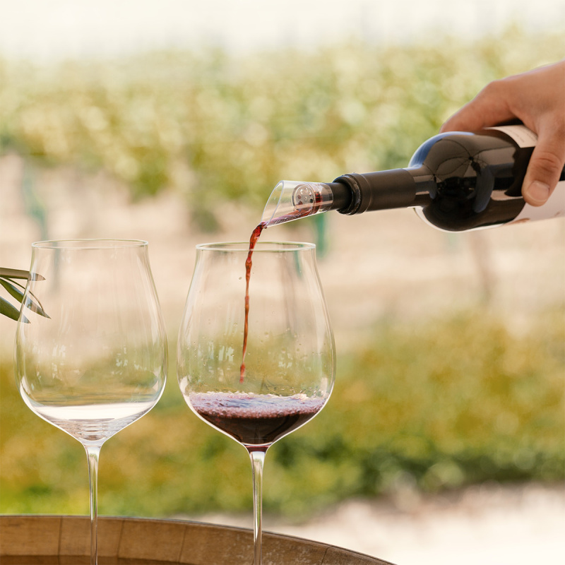 Bec verseur décanteur à vin | Lunasol