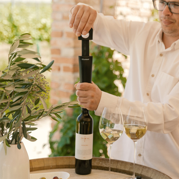 Pompe à vide pour vin avec 2 bouchons | Lunasol