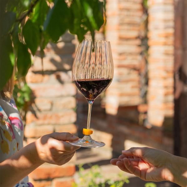Bouchon à vin et 8 marqueurs de verres | Lunasol