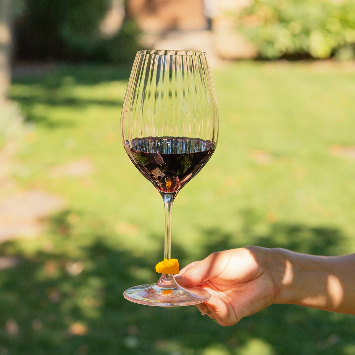 Bouchon à vin et 8 marqueurs de verres | Lunasol