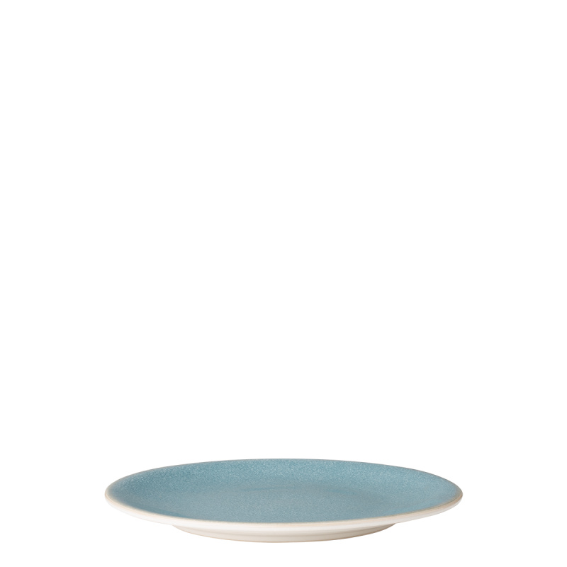 Assiette plate Coupe 22 cm - Gaya Elements Glacial Ice North