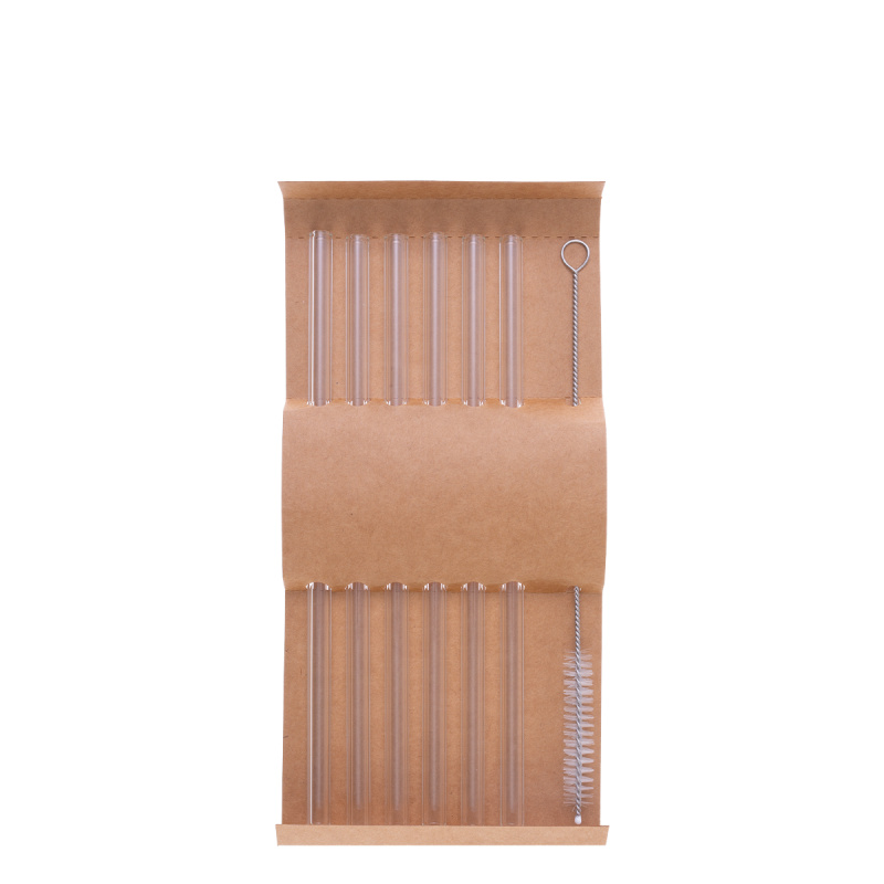 Set de 6 pailles droites