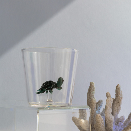 Verre avec tortue | Ichendorf