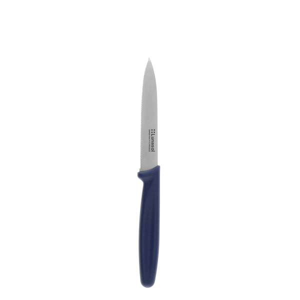 Couteau de cuisine 10,2 cm dentelé | Master Blue