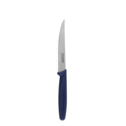 Couteau à steak 11,2 cm | Master Blue