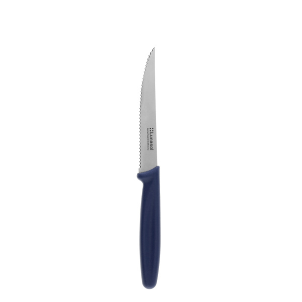 Couteau à steak 11,2 cm | Master Blue