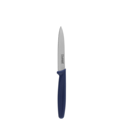 Couteau de cuisine 10,2 cm sans dents | Master Blue