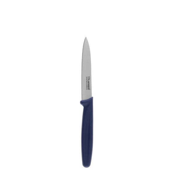 Couteau de cuisine 10,2 cm sans dents | Master Blue
