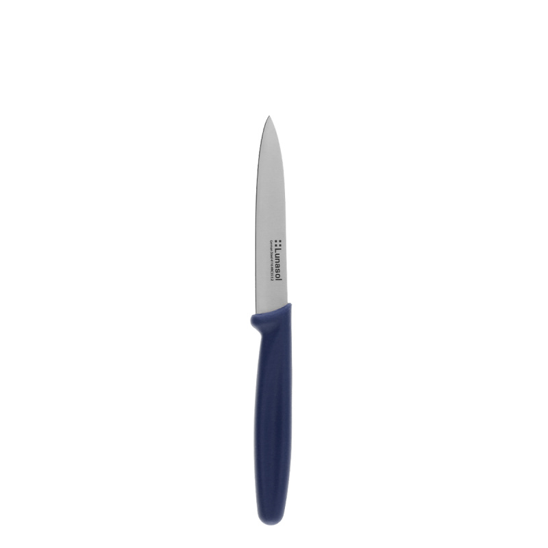 Couteau de cuisine 10,2 cm sans dents | Master Blue