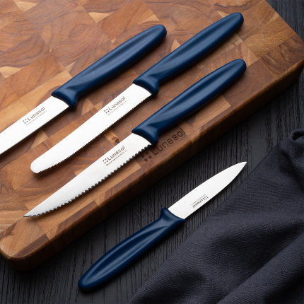 Couteau de cuisine 10,2 cm sans dents | Master Blue