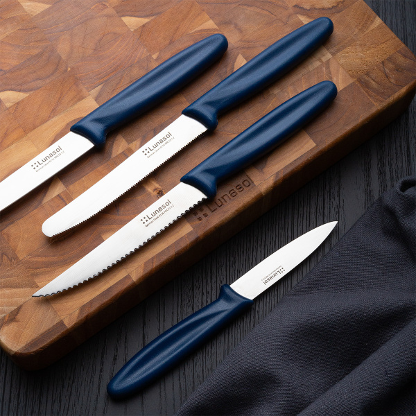 Couteau de cuisine 10,2 cm sans dents | Master Blue