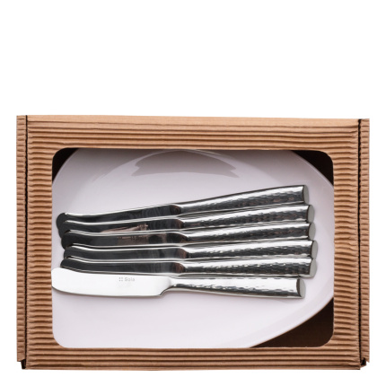 Ensemble assiette et couteau à beurre 12 pièces